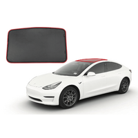 Tesla Model 3 Panoramic Glass Shade (1 Piece) (2017-Present)*