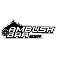 Ambush by PSR
